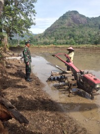 Babinsa Koramil 406-09/Terawas Laksanakan Komsos Bersama Petani di Desa Sukakarya