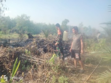 Babinsa Koramil 406-05/Muara Kelingi Tanggap Karhutla, Serda Suryanda Cek Titik Api di Desa Pangkalan Tarum
