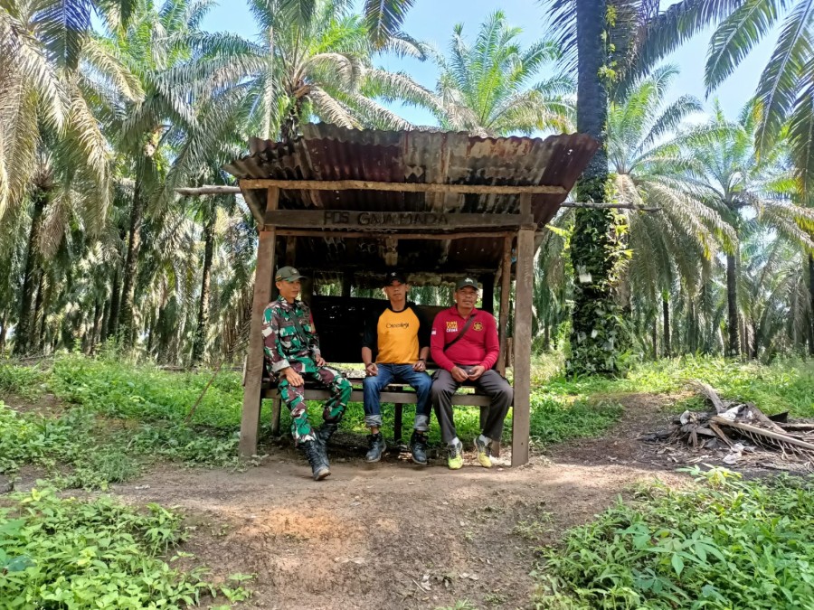 Tingkat kan kerjasama di wilayah binaan Serka yunistan jalin komsos dengan tokoh masyarakat dan petani kelapa sawit