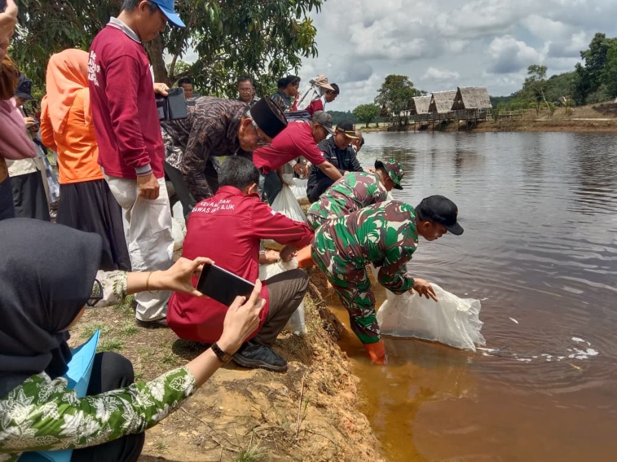 BABINSA KORAMIL 406-01/RAWAS ULU DAMPINGI PENEBARAN BIBIT IKAN DI DANAU MERUNG DESA LESUNG BATU MUDA