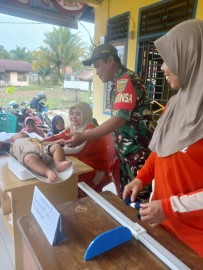 Serda Samsul Monitor Kegiatan Posyandu Balita di Desa Jajaran II