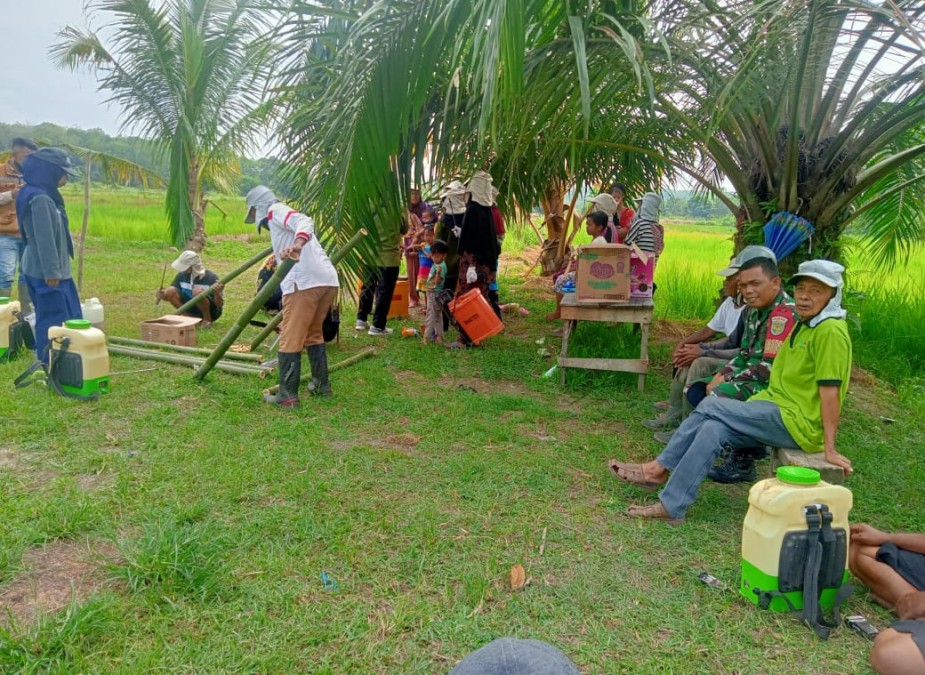 Babinsa Koramil 406-01/Rawas Ulu Dampingi Petani Lakukan Penyemprotan Padi dan Pengendalian Gulma