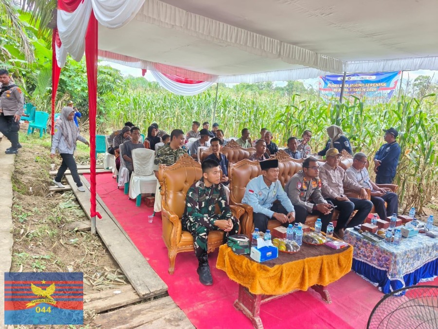 Babinsa Koramil 406-03/Rupit Hadiri Panen Raya Jagung Kuartal II dan Vicon Ketahanan Pangan di Karang Jaya