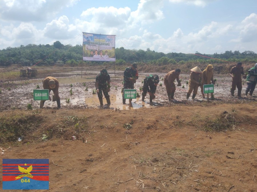 Danramil 406-01/Rawas Ulu Hadiri Gerakan Tanam Padi Sambut Program Antisipasi El-Nino di Desa Lesung Batu Muda