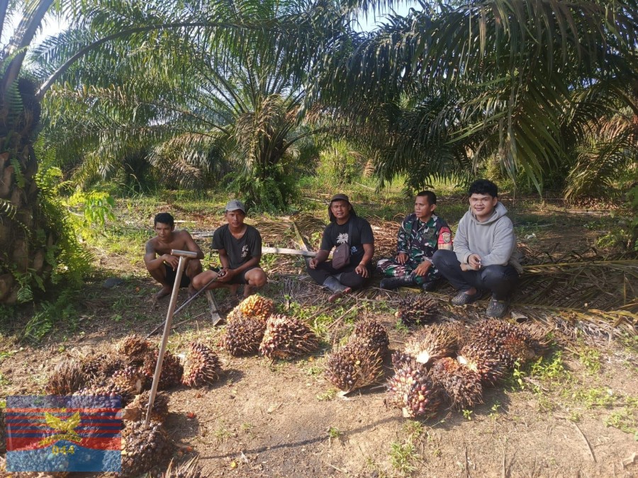Babinsa Sertu Dodi Sambangi Petani Sawit di Desa Mekar Jaya, Himbau Stop Buka Lahan dengan Cara Dibakar