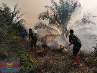Babinsa Koramil 406-04/Muara Lakitan Tanggap Padamkan Titik Api di Desa Prabumulih 1