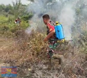 Babinsa Koramil 406-04/Muara Lakitan Bersama Polsek dan Masyarakat Gotong Royong Padamkan Kebakaran Lahan di Desa Bomulih I
