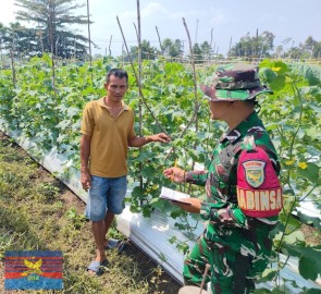 Babinsa Koramil 406-03/Rupit Laksanakan Komsos tentang Ketahanan Pangan di Desa Embacang Baru Ilir